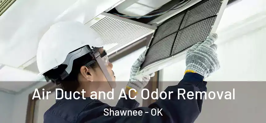 Air Duct and AC Odor Removal Shawnee - OK