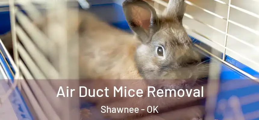 Air Duct Mice Removal Shawnee - OK