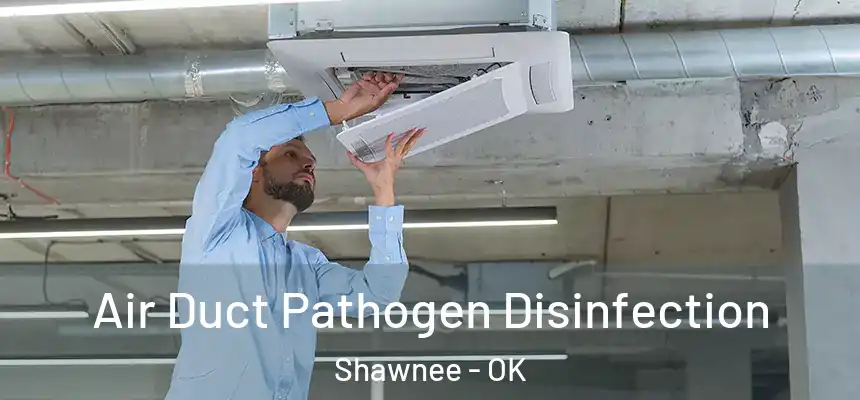 Air Duct Pathogen Disinfection Shawnee - OK