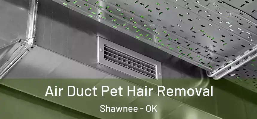 Air Duct Pet Hair Removal Shawnee - OK