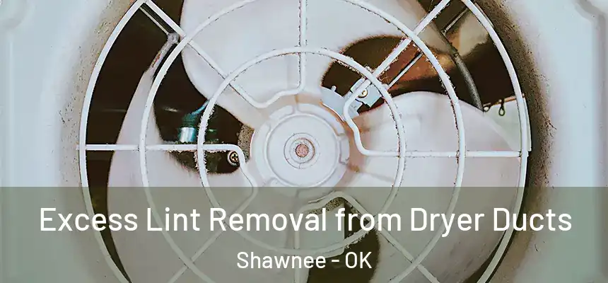 Excess Lint Removal from Dryer Ducts Shawnee - OK