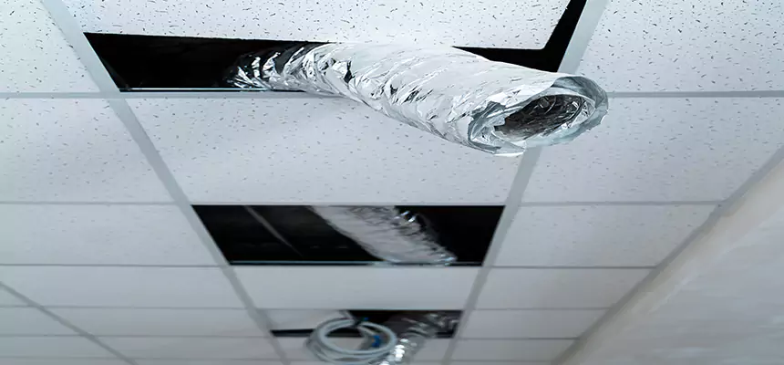 Our Air Duct Pet Hair Removal Services in Shawnee, OK