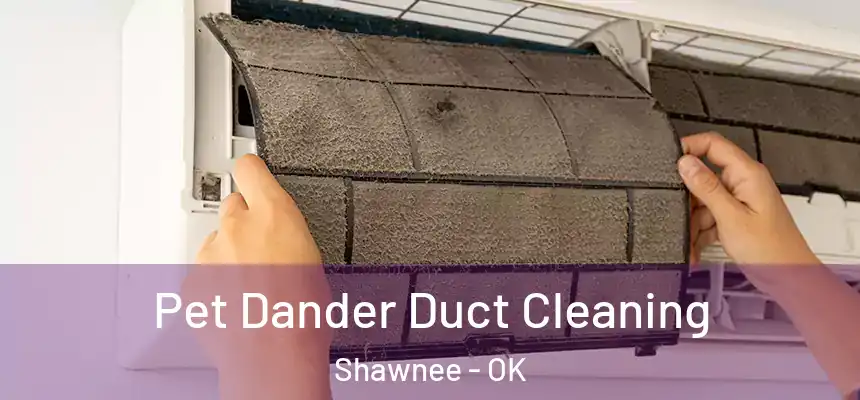Pet Dander Duct Cleaning Shawnee - OK