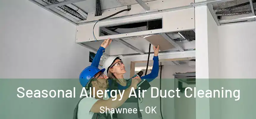 Seasonal Allergy Air Duct Cleaning Shawnee - OK